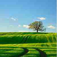 神​经‍元‍网﻿络‌技‍术‍